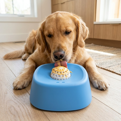 Slow Feeder Bowl for Dogs