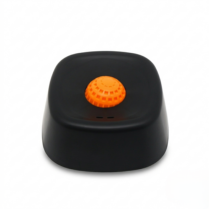 Slow Feeder Bowl for Dogs